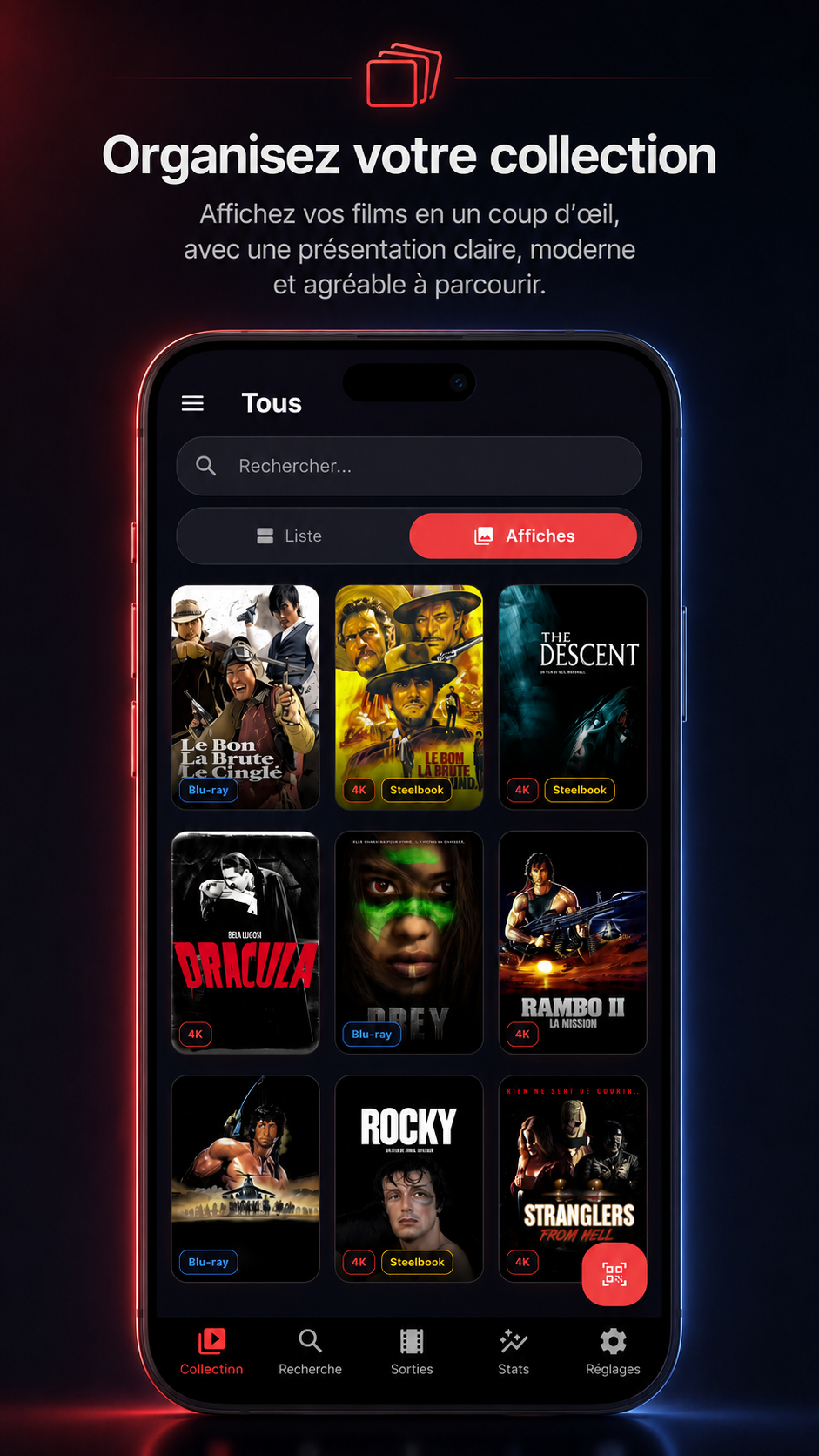 Écran de collection DadMovies avec affichage des films et badges de formats